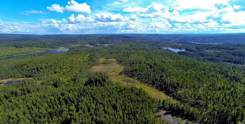 Norske perler: Finnskogen: De dype skogene | Din Fritid
